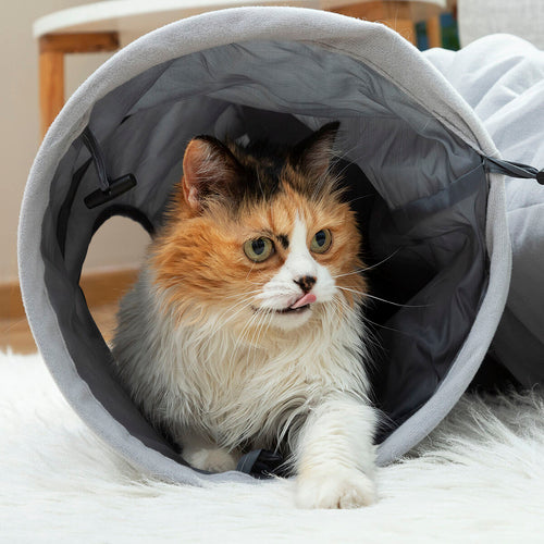 Peek-a-Boo Collapsible Cat Tunnel