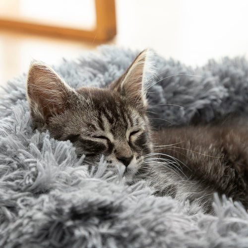 Calm Cloud Anti-Stress Round Pet Bed