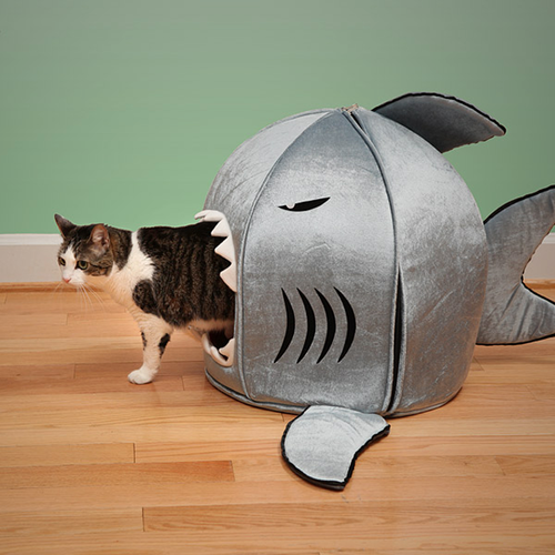 Sammy the Shark Cosy Pet Bed