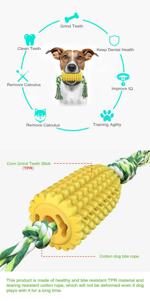 Chew & Clean Dog Toothbrush Toy