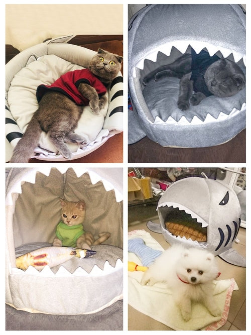 Sammy the Shark Cosy Pet Bed