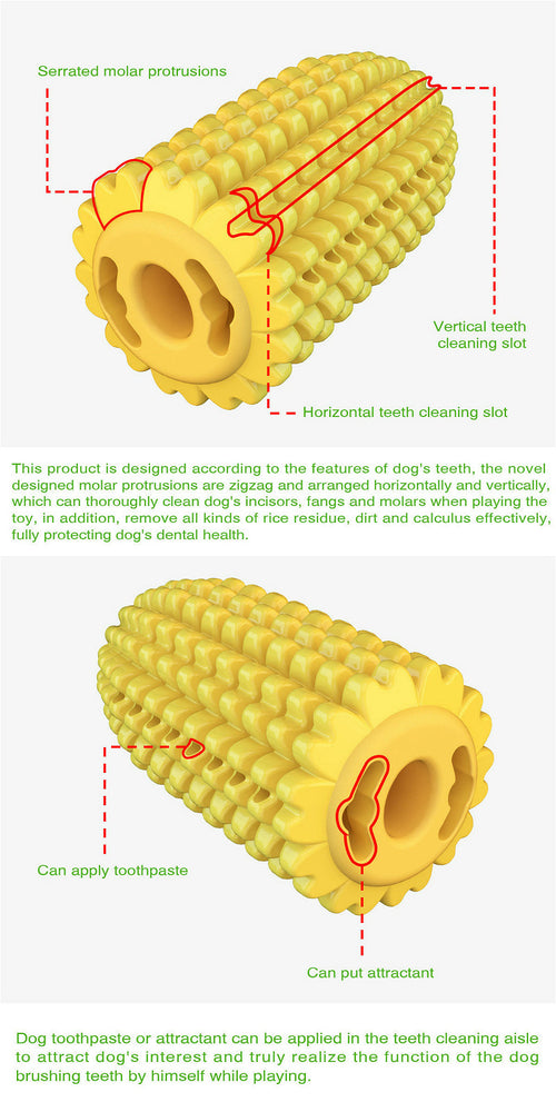 Chew & Clean Dog Toothbrush Toy