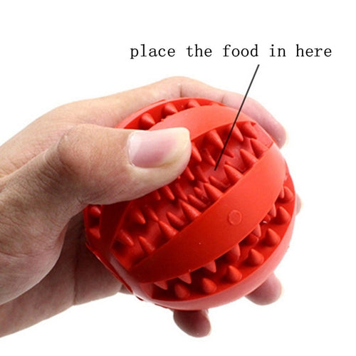 Treat & Clean Rubber Chew Ball