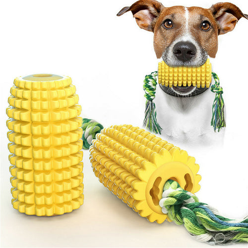 Chew & Clean Dog Toothbrush Toy