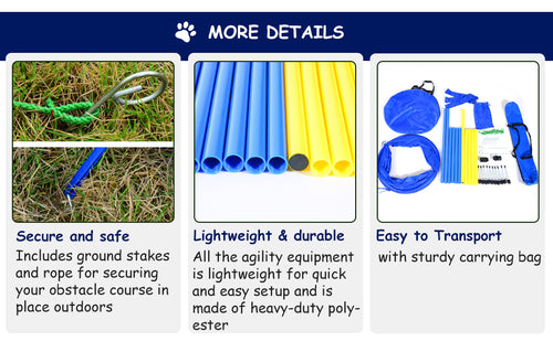 Backyard Dog Agility Starter Kit