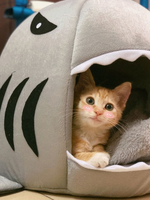 Sammy the Shark Cosy Pet Bed