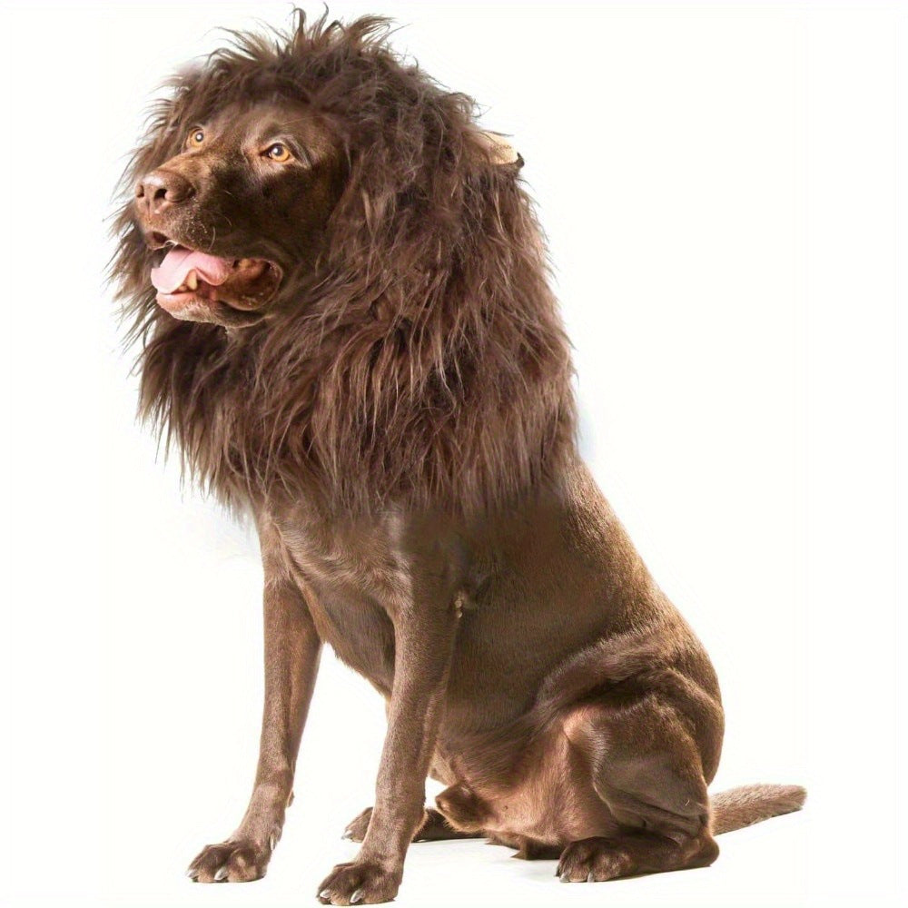 Little Lion Mane Costume Hat for Pets